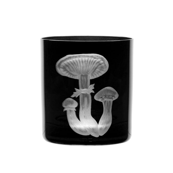 Mushrooms Honey Fungus