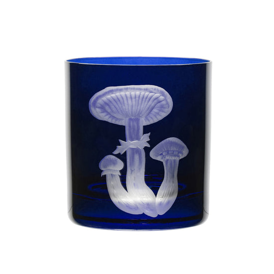 Mushrooms Honey Fungus