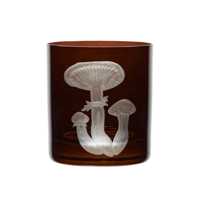 Mushrooms Honey Fungus