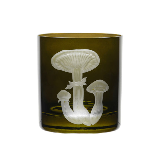 Mushrooms Honey Fungus