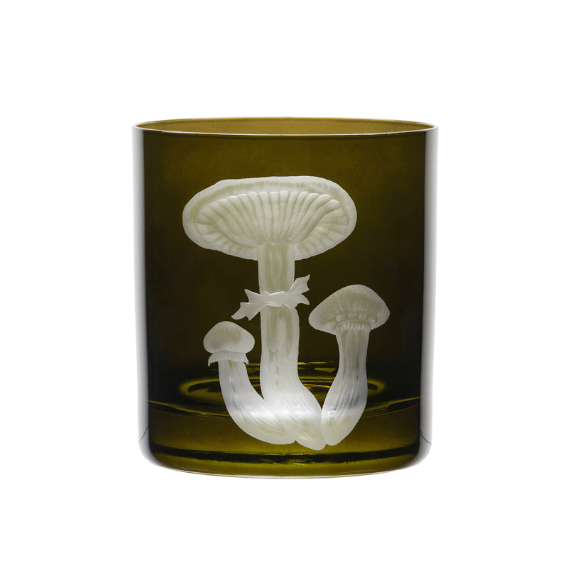 Mushrooms Honey Fungus