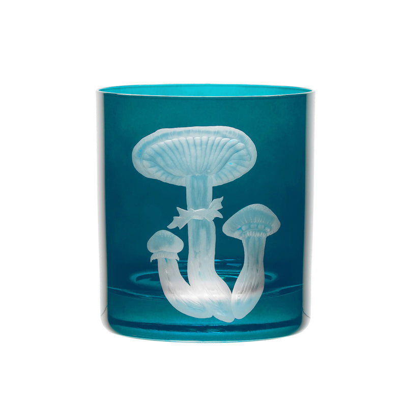 Mushrooms Honey Fungus