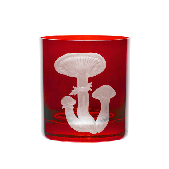 Mushrooms Honey Fungus