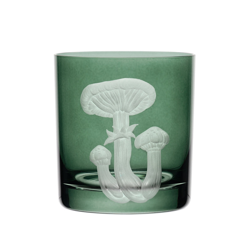 Mushrooms Honey Fungus