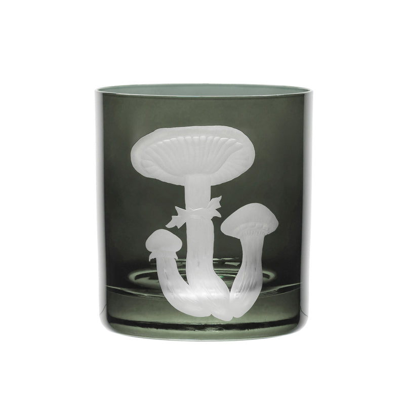 Mushrooms Honey Fungus