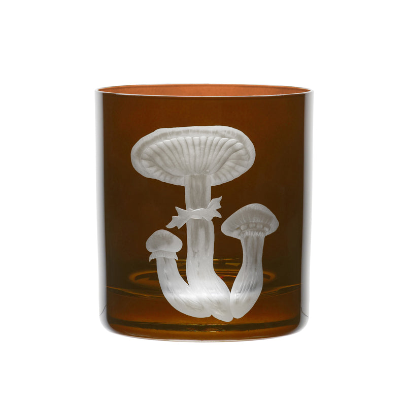 Mushrooms Honey Fungus