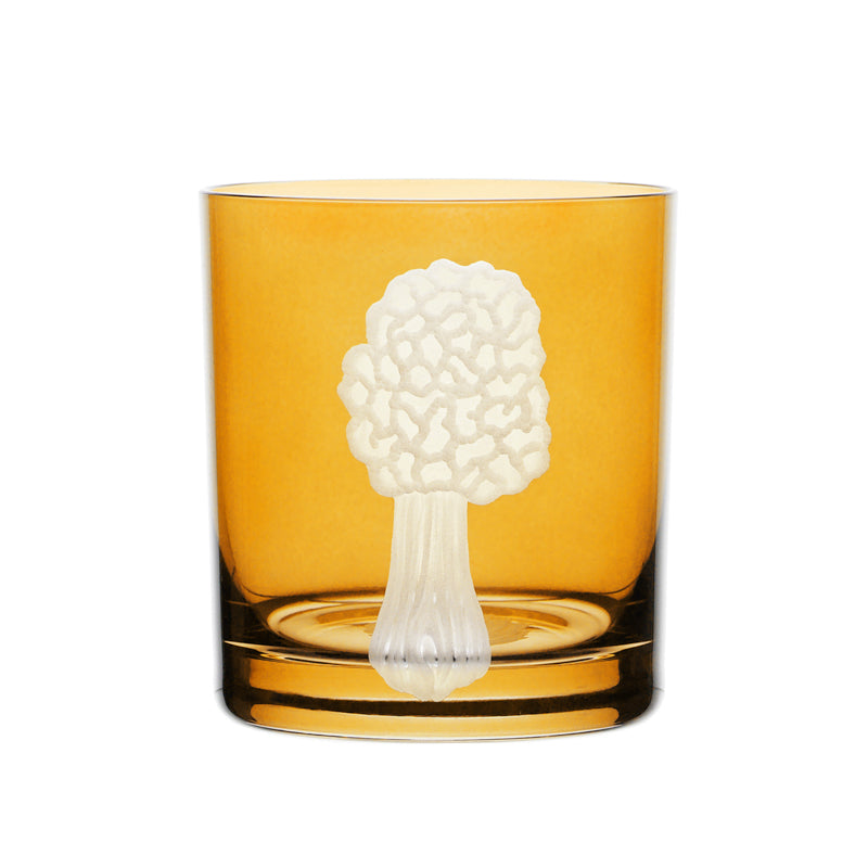 Mushrooms Morel
