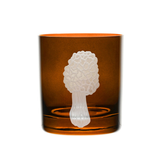 Mushrooms Morel