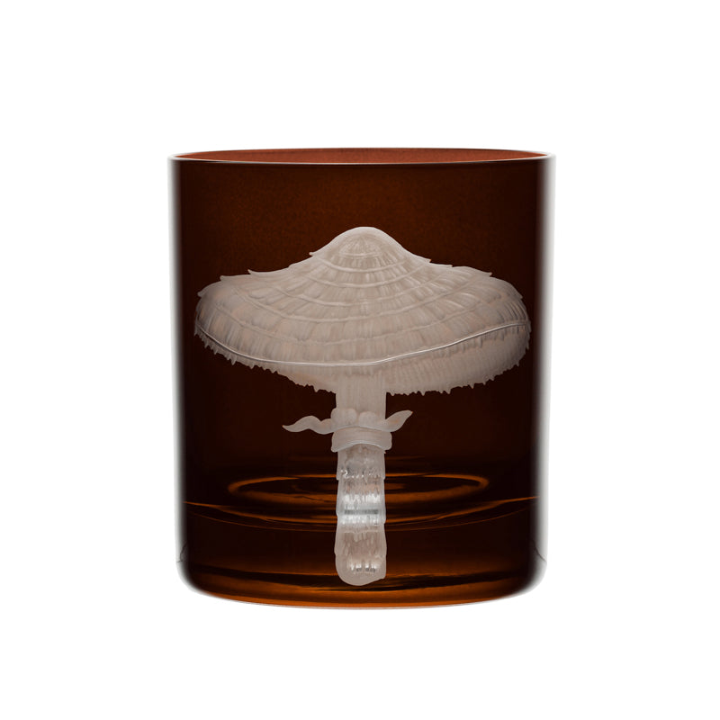 Mushrooms Parasol