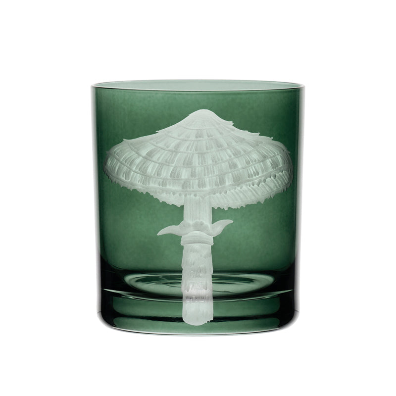 Mushrooms Parasol