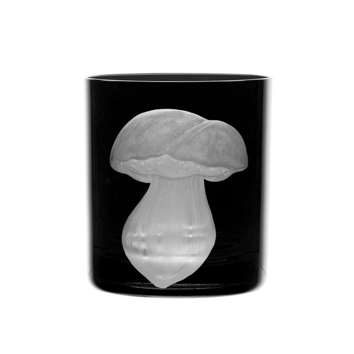 Mushrooms Summer Cep