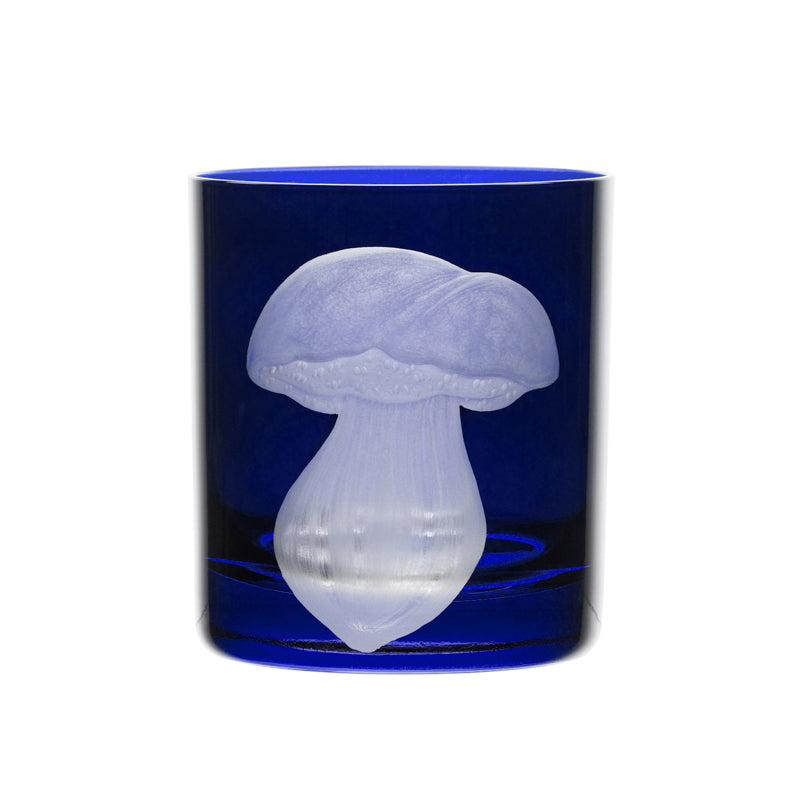 Mushrooms Summer Cep