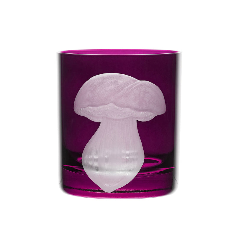 Mushrooms Summer Cep