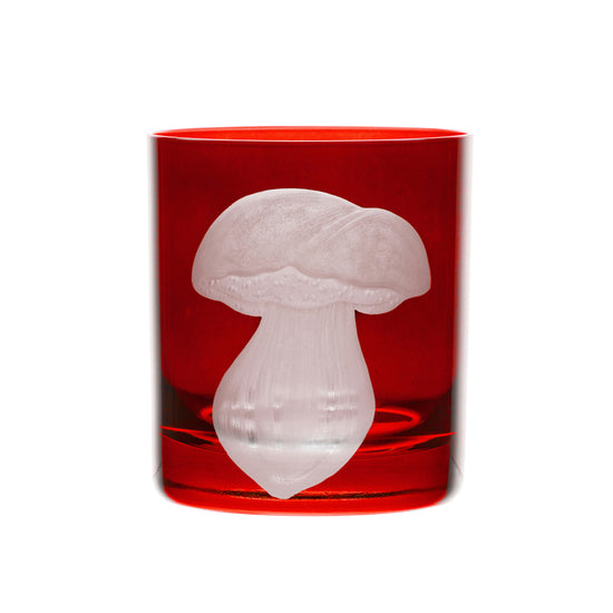 Mushrooms Summer Cep