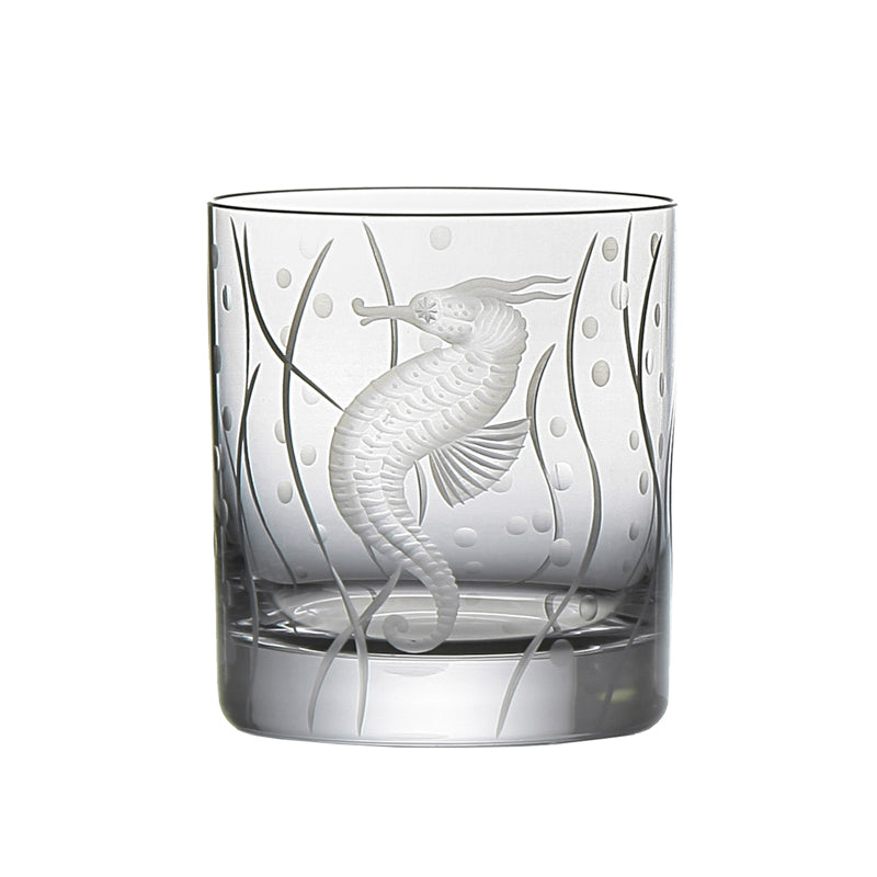 Sea Life Seahorse