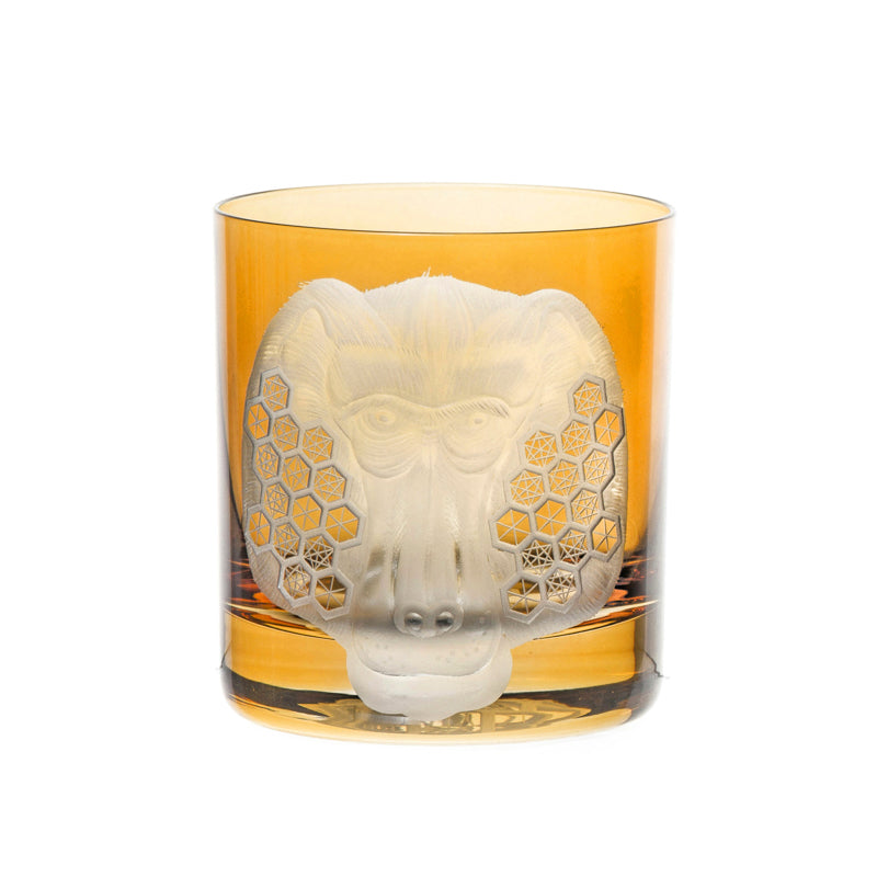 African Safari Baboon