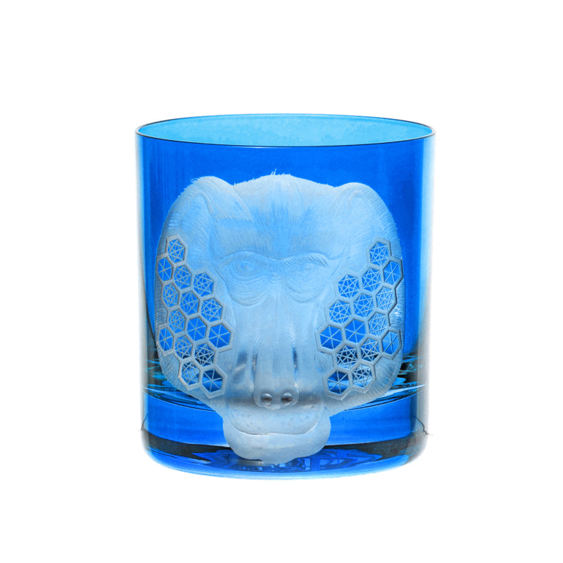 African Safari Baboon