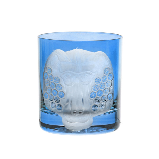 African Safari Baboon