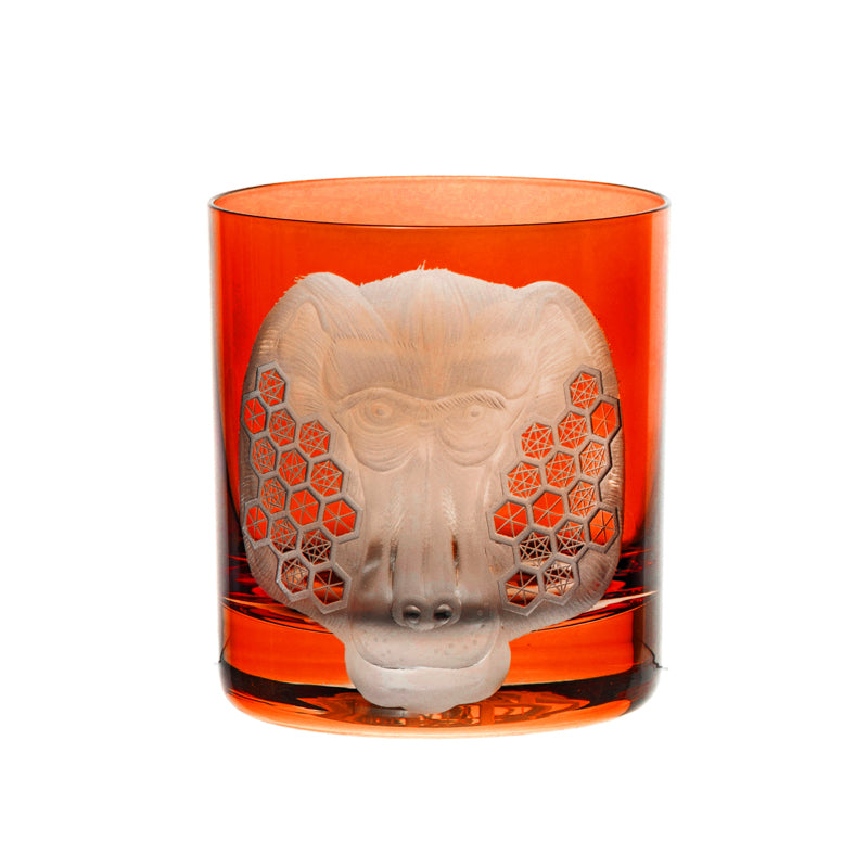 African Safari Baboon