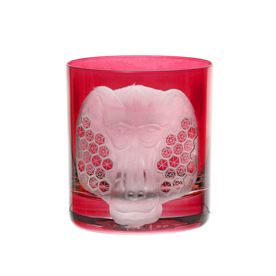 African Safari Baboon