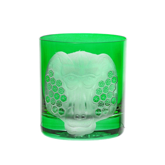 African Safari Baboon