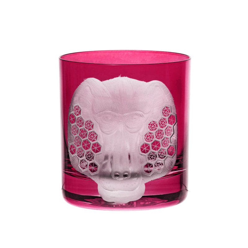 African Safari Baboon