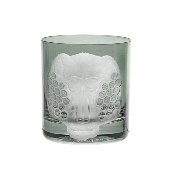 African Safari Baboon