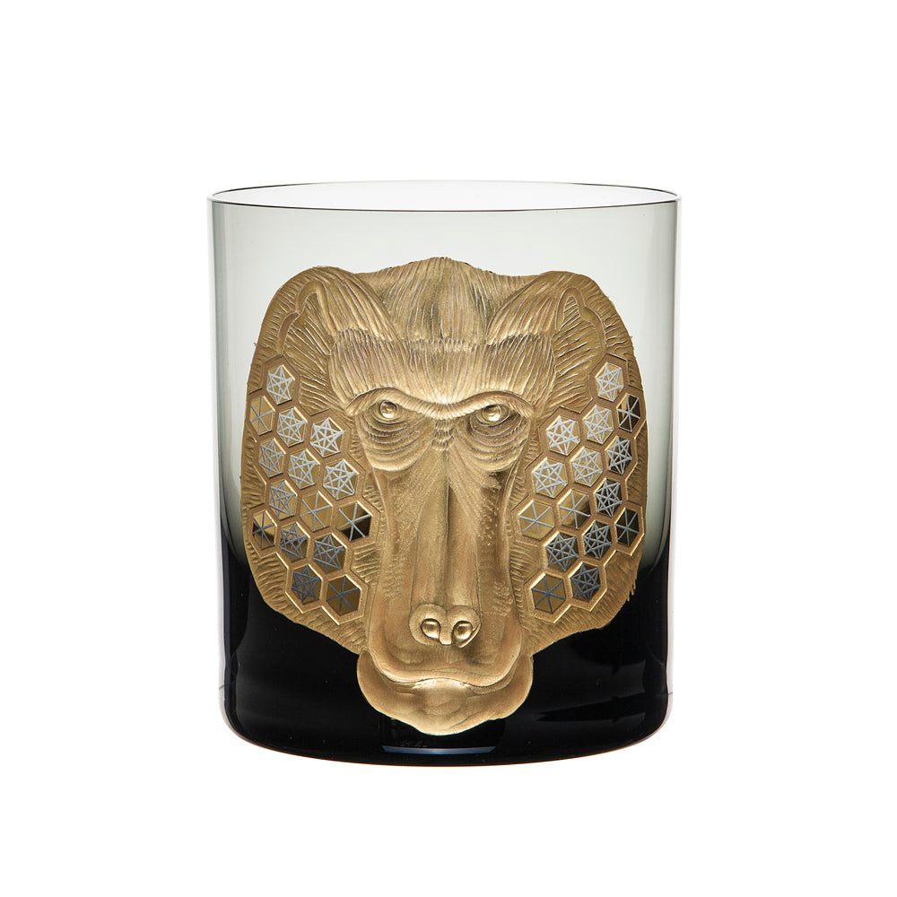 African Safari Baboon