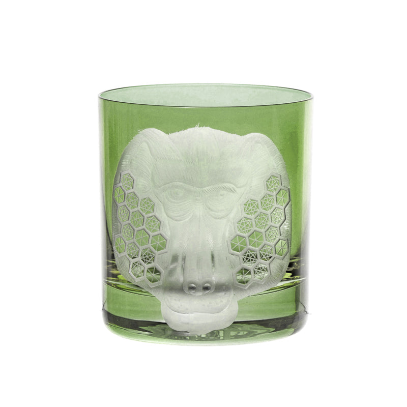 African Safari Baboon