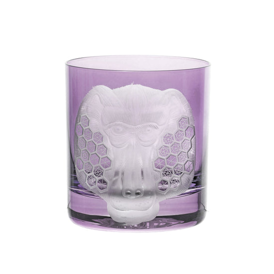 African Safari Baboon