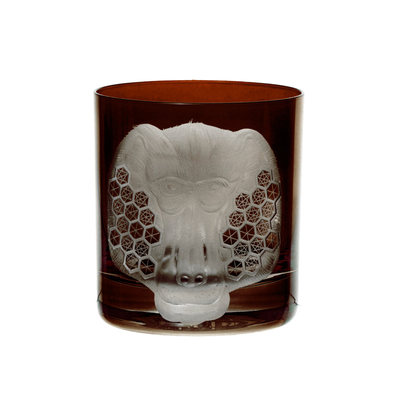 African Safari Baboon