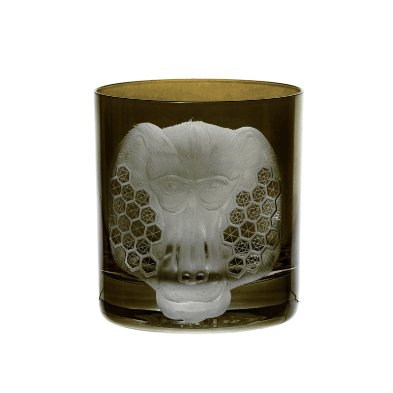 African Safari Baboon