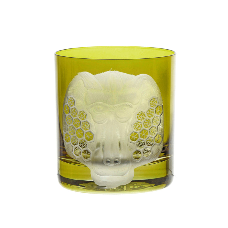 African Safari Baboon