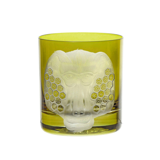 African Safari Baboon