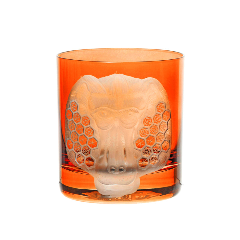 African Safari Baboon