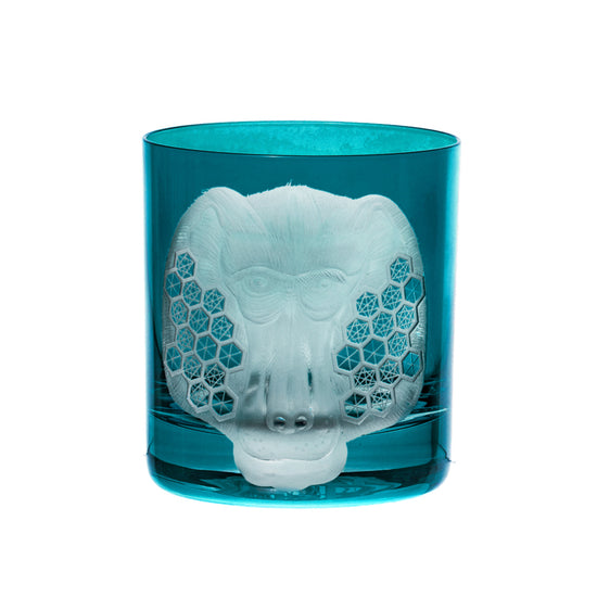 African Safari Baboon