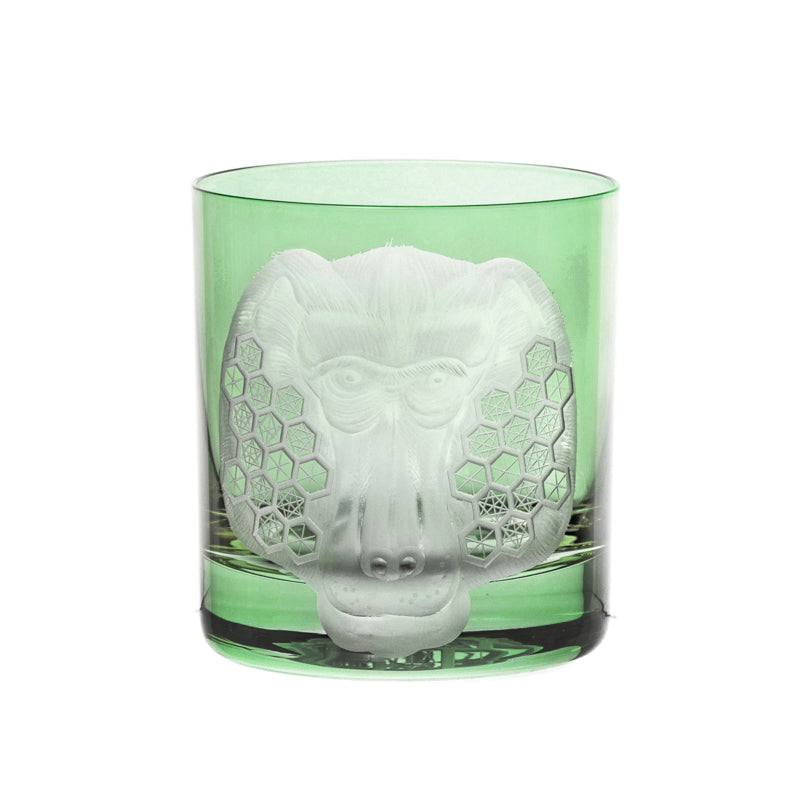 African Safari Baboon