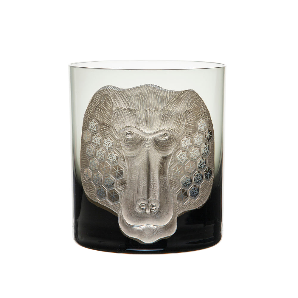 African Safari Baboon