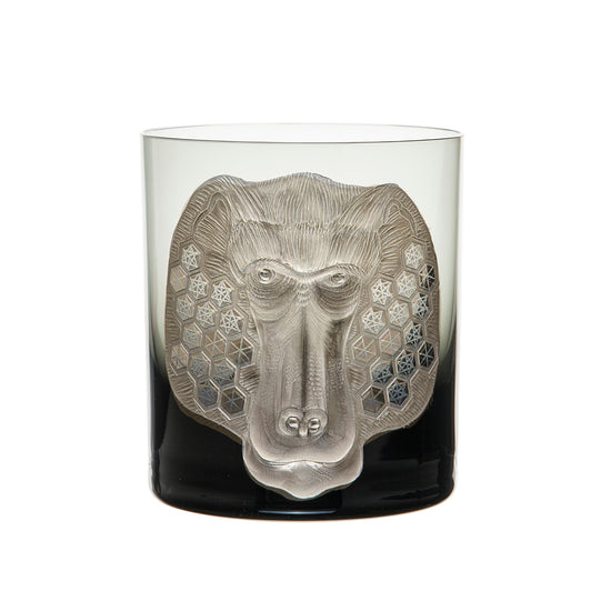 African Safari Baboon