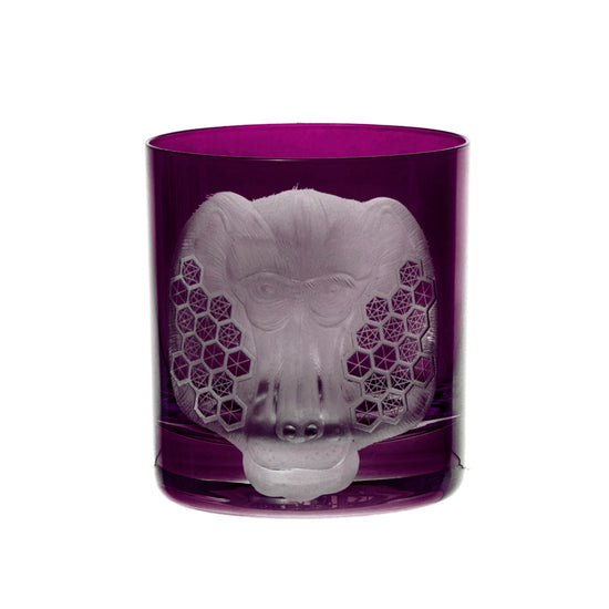 African Safari Baboon