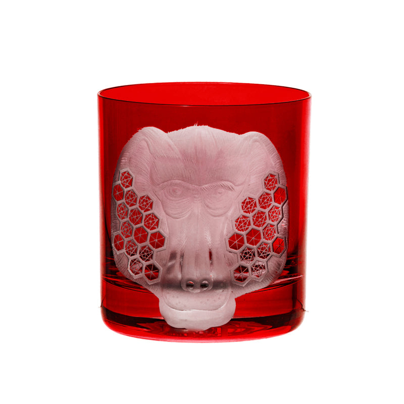 African Safari Baboon