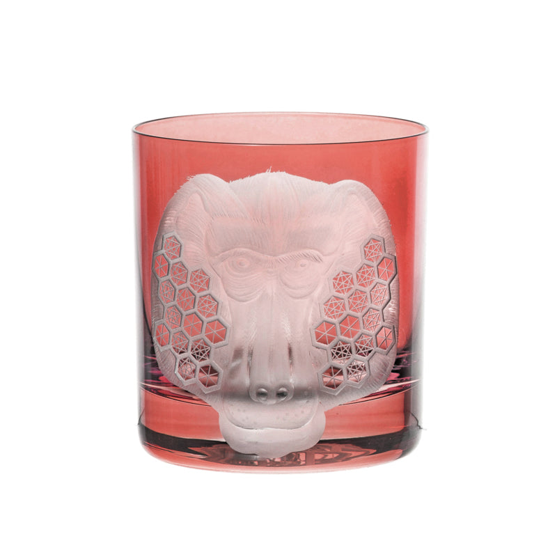 African Safari Baboon