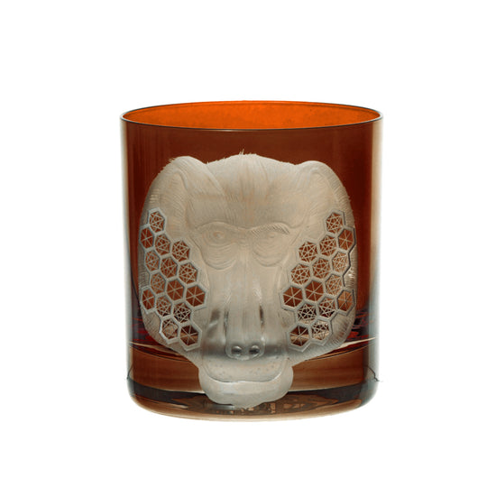 African Safari Baboon