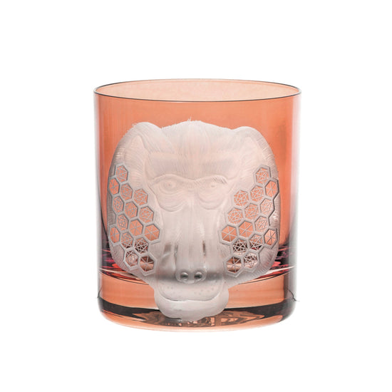 African Safari Baboon