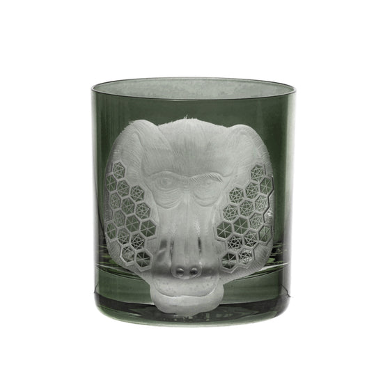 African Safari Baboon