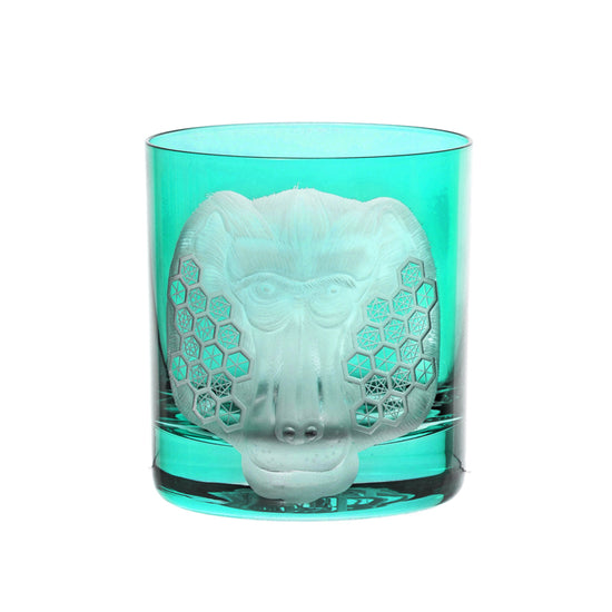 African Safari Baboon