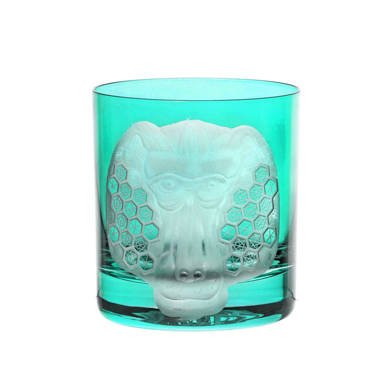 African Safari Baboon