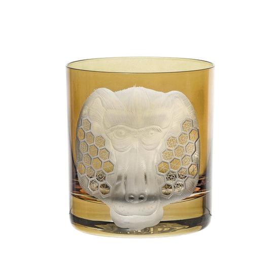 African Safari Baboon