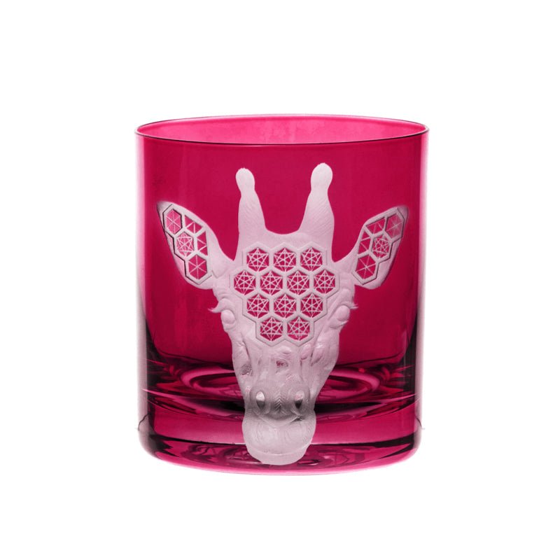 African Safari Giraffe