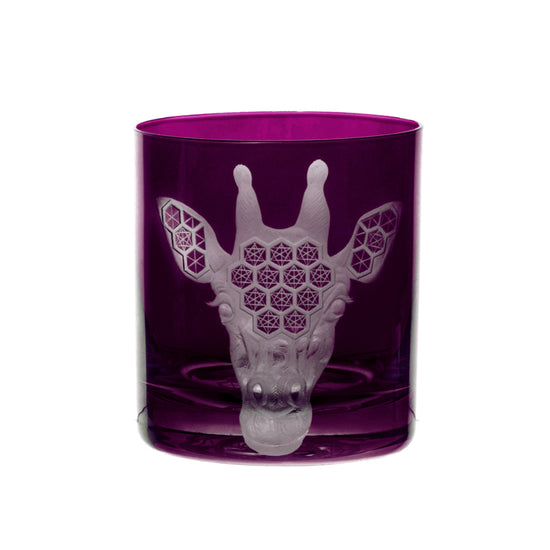 African Safari Giraffe